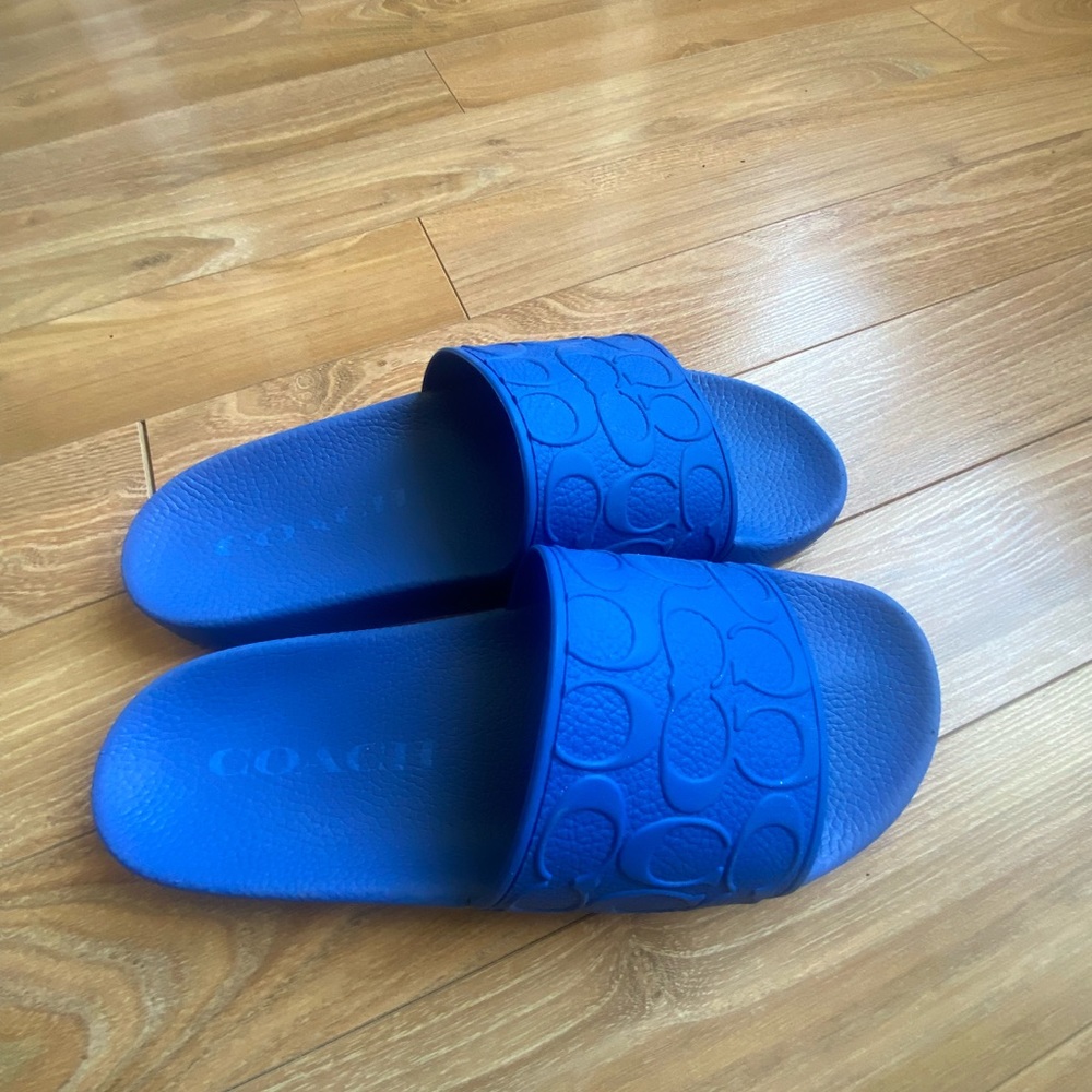 Blue COACH Sandals Size Men 10 US